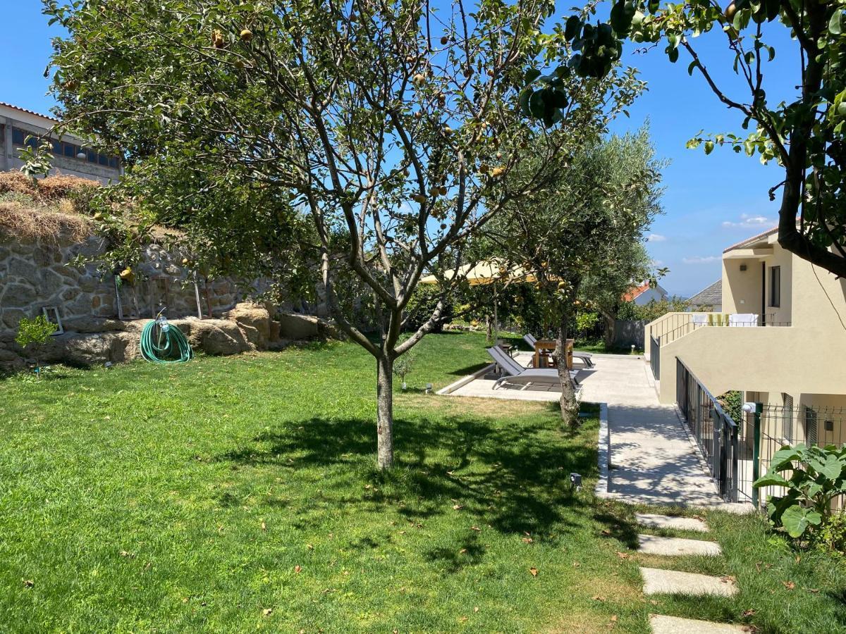 Casa Da Zefinha - Villa, Em Cinfaes, No Douro Екстер'єр фото